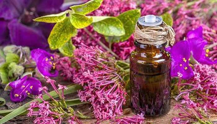 Best Essential Oils 